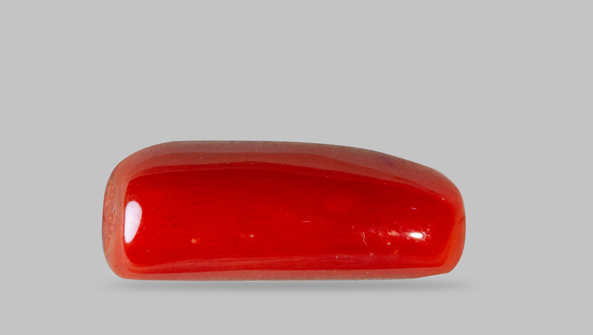 Italian Red Coral 8.07 Carats / 8.87 Ratti