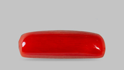 Italian Red Coral 7.87 Carats / 8.65 Ratti