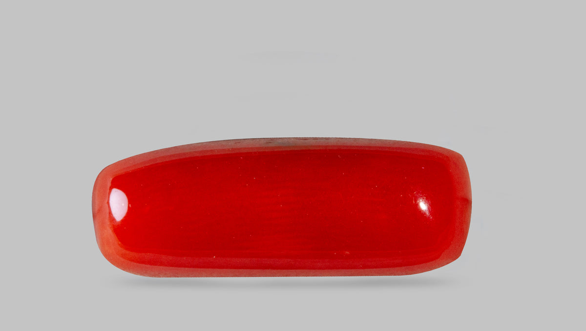 Italian Red Coral 8.28 Carats / 9.1 Ratti