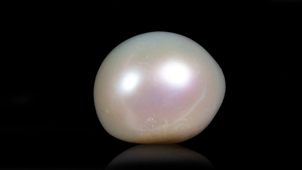 Fresh Water Pearl 9.73 Carats / 10.69 Ratti