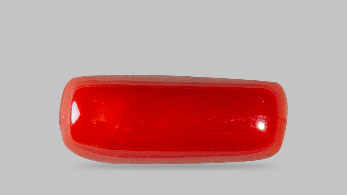 Italian Red Coral 7.61 Carats / 8.36 Ratti