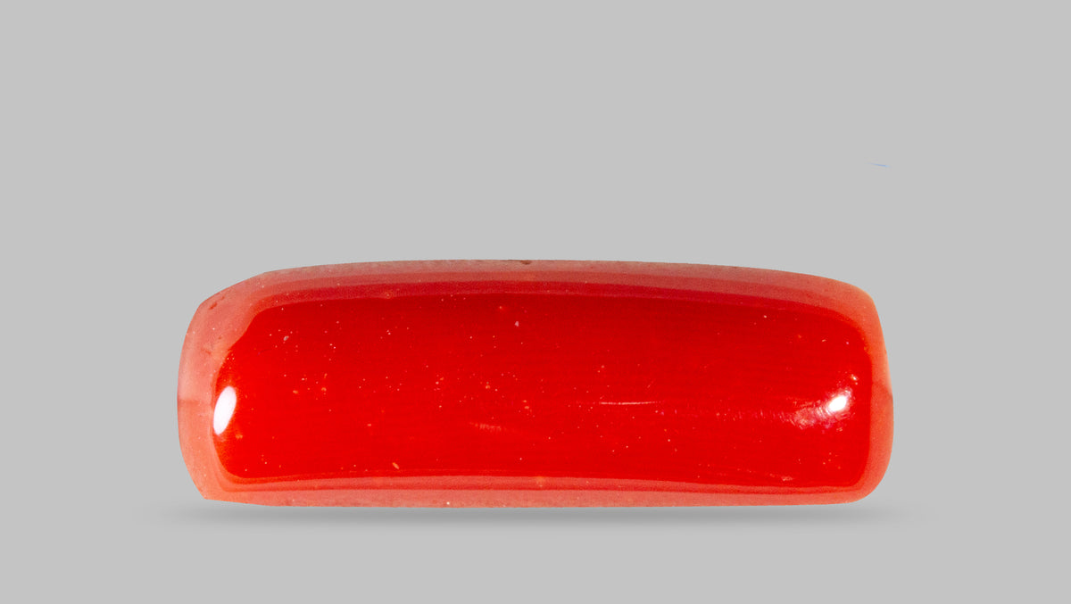Italian Red Coral 7.88 Carats / 8.66 Ratti