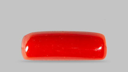 Italian Red Coral 7.88 Carats / 8.66 Ratti