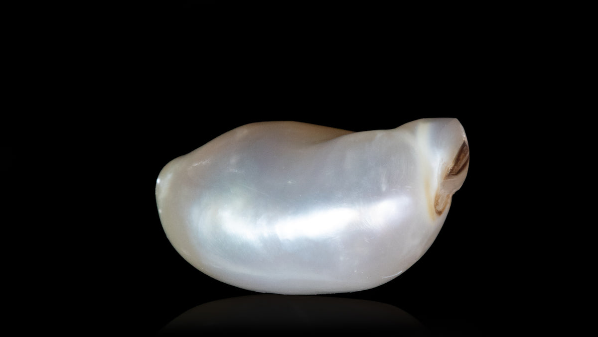 Venezuela Pearl 4.51 Carats / 4.96 Ratti