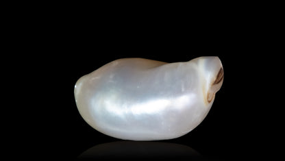 Venezuela Pearl 4.51 Carats / 4.96 Ratti
