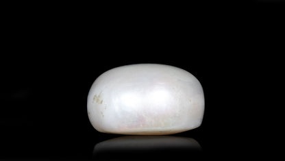 Fresh Water Pearl 7.80 Carats / 8.57 Ratti