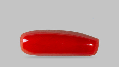 Italian Red Coral 8.40 Carats / 9.23 Ratti