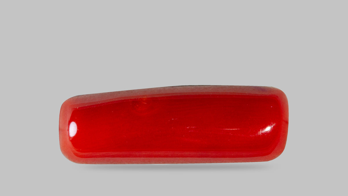 Italian Red Coral 8.46 Carats / 9.3 Ratti