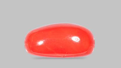 Italian Red Coral 11.50 Carats / 12.64 Ratti
