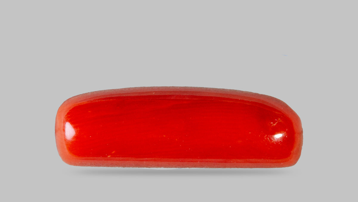 Italian Red Coral 7.50 Carats / 8.24 Ratti