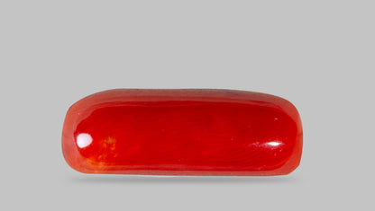 Italian Red Coral 7.73 Carats / 8.49 Ratti