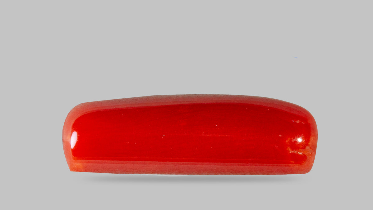 Italian Red Coral 7.29 Carats / 8.01 Ratti