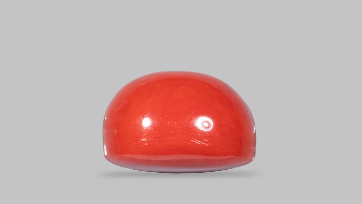 Italian Red Coral 13.26 Carats / 14.57 Ratti