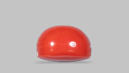 Italian Red Coral 13.26 Carats / 14.57 Ratti