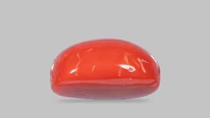 Italian Red Coral 12.24 Carats / 13.45 Ratti