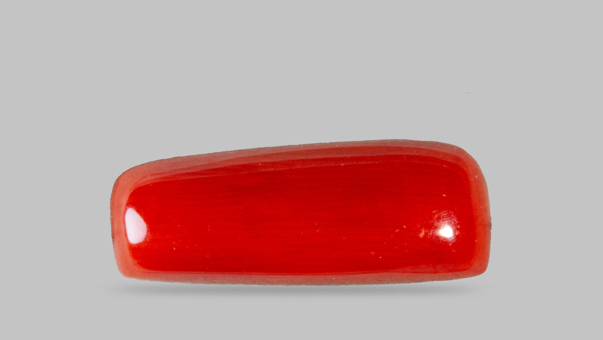 Italian Red Coral 8.65 Carats / 9.51 Ratti