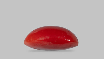 Japanese Red Coral 5.58 Carats / 6.13 Ratti