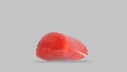 Italian Red Coral 9.01 Carats / 9.9 Ratti