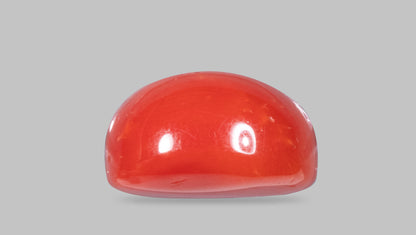Italian Red Coral 12.22 Carats / 13.43 Ratti