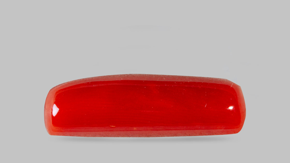 Italian Red Coral 7.69 Carats / 8.45 Ratti