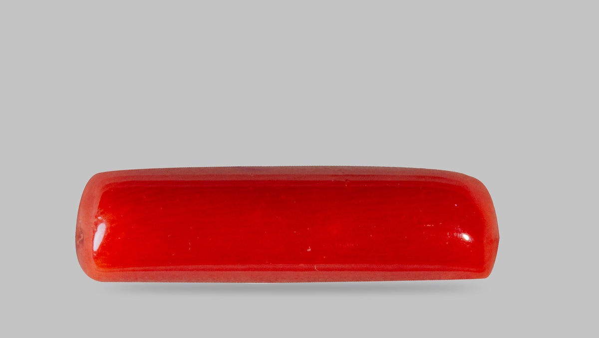 Italian Red Coral 7.01 Carats / 7.7 Ratti