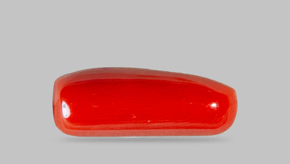 Italian Red Coral 8.68 Carats / 9.54 Ratti