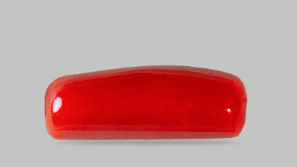 Italian Red Coral 8.40 Carats / 9.23 Ratti