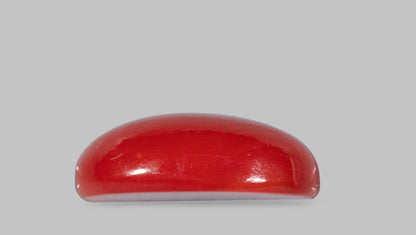 Japanese Red Coral 5.57 Carats / 6.12 Ratti