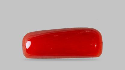 Italian Red Coral 7.62 Carats / 8.37 Ratti