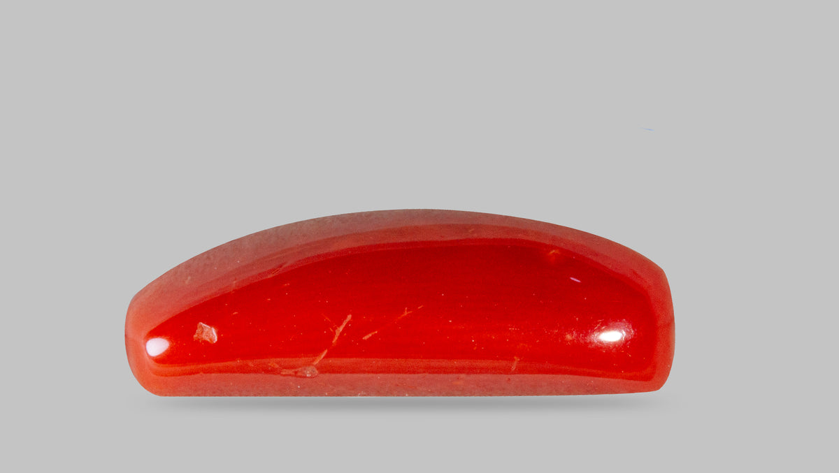 Italian Red Coral 7.82 Carats / 8.59 Ratti