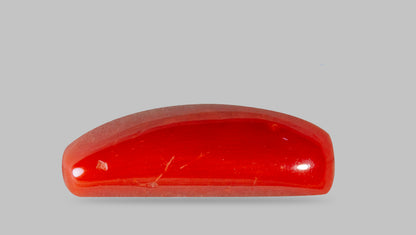Italian Red Coral 7.82 Carats / 8.59 Ratti