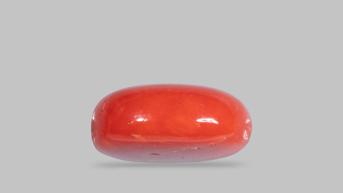 Italian Red Coral 10.38 Carats / 11.41 Ratti