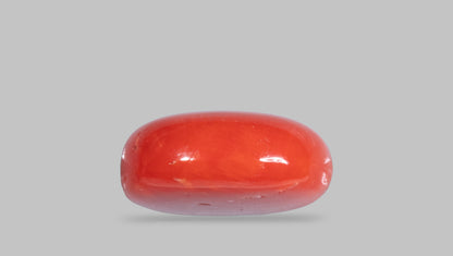 Italian Red Coral 10.38 Carats / 11.41 Ratti
