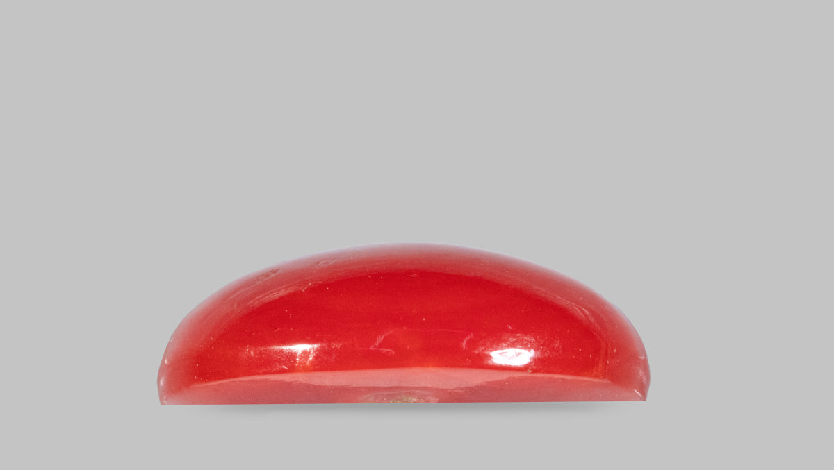 Japanese Red Coral 5.54 Carats / 6.09 Ratti