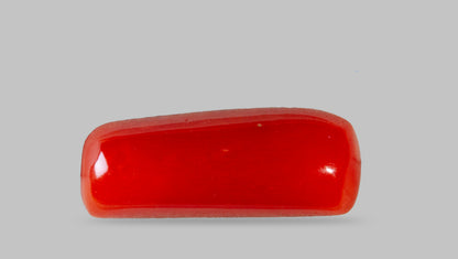 Italian Red Coral 7.06 Carats / 7.76 Ratti