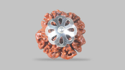 4 MUKHI RUDRAKSHA (18.00 mm) / 13.48 Ratti